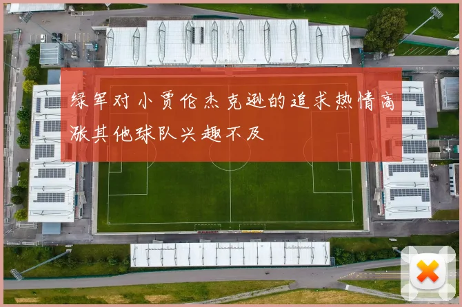 绿军对小贾伦杰克逊的追求热情高涨其他球队兴趣不及